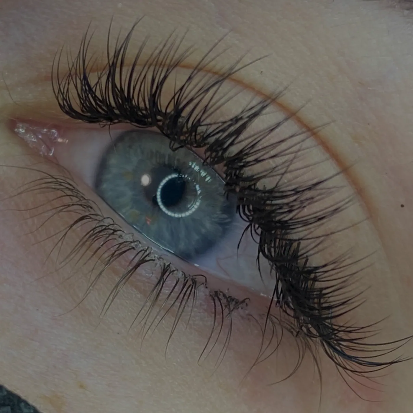 Wimpern bei S Cosmetic